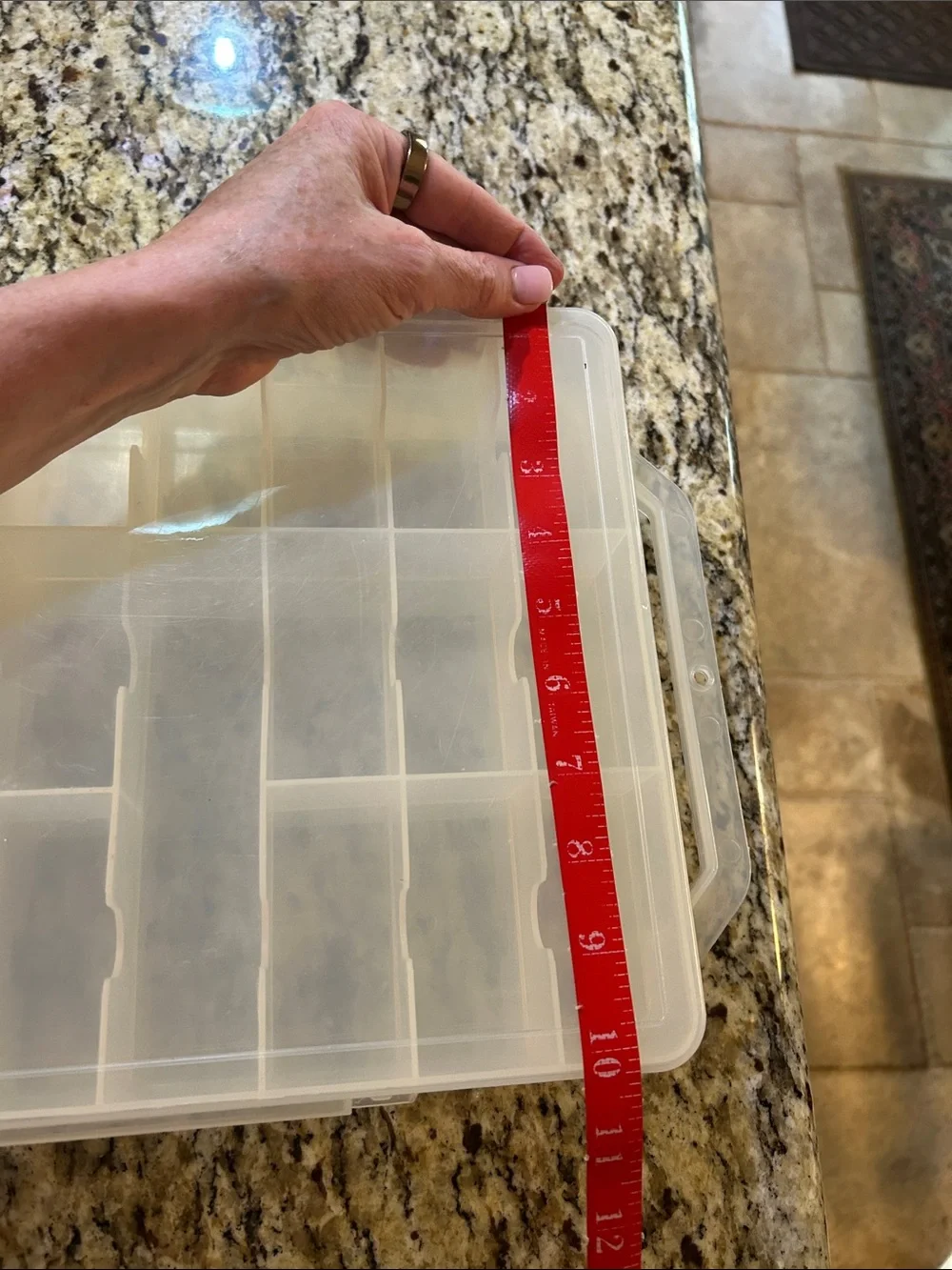 Multi-Compartment Clear Plastic Double Sided Organizer with Caring Handle
